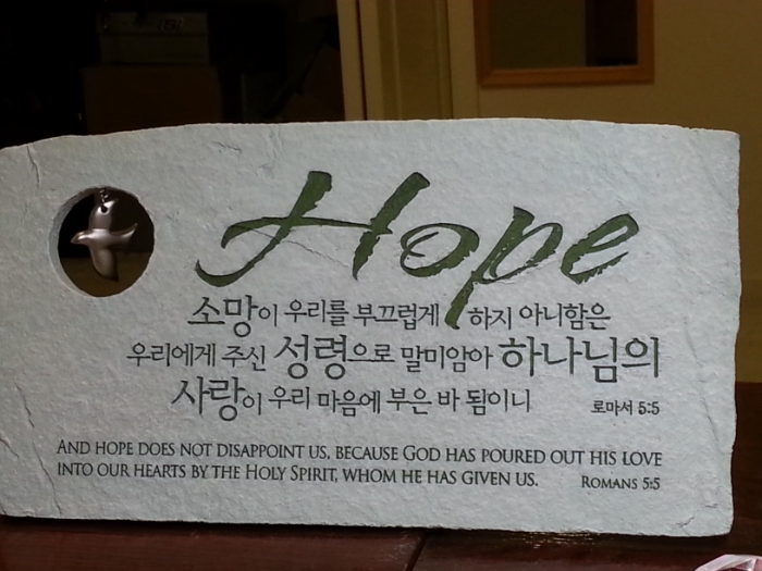 20120722_082652 [800x600].jpg